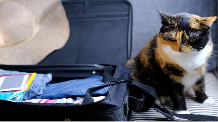 【ドル円】もう、あなたにはついてゆけません！