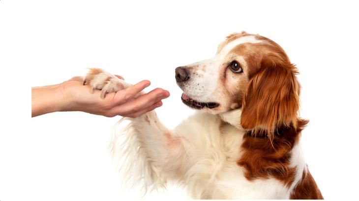 「FRB議長候補の忖度」もドル安要因？安値叩くリスクあり