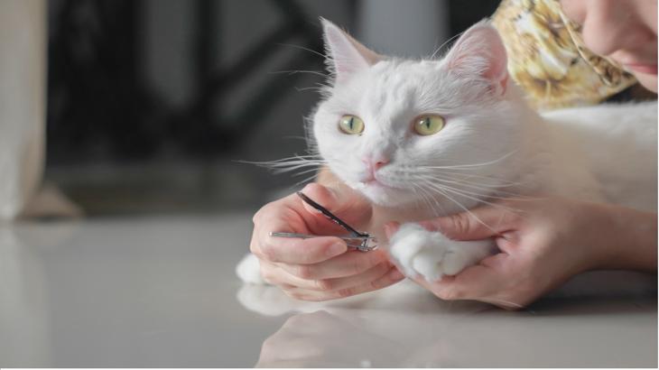 【NZドル円】我慢のとき