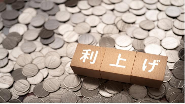 「利上げでも円高になるのかを考えないでやってはいけない」